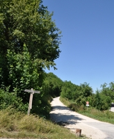 noch parkiert kein Besucher im Schatten