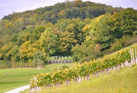 wuderbare Herbststimmung für ein Endschiessen