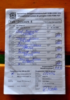 Villigen E1 - besser als Villigen D1 (einfach Tatsache)