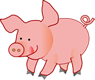 pig
