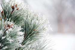 bald wird's warm